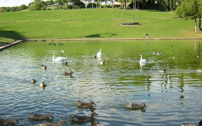 Imatge del Parc Catalunya de Sabadell