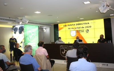 La Junta Directiva de l'FCF ha aprovat els nous plans de competició | FCF