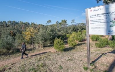 El bosc de Can Deu podria quedar inclòs dins del Parc Natural de Sant Llorenç | Roger Benet