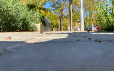 La dona es va accidental amb aquests caragols de la vorera del carrer de Malta | Cedida