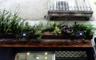 Una de les instal·lacions al carrer de Gràcia | Jardins Vegetals 