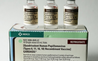 Imatge de la vacuna del papil·loma humà | Cedida