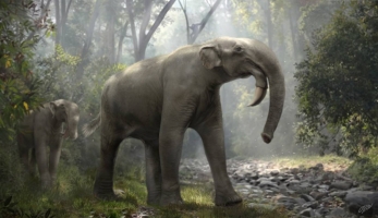 El dinoteri, ja extingit, és un animal emparentat amb els elefants africans