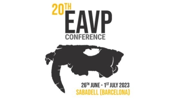 Sabadell acull aquests dies el Congrés de l'Associació Europea de Paleontologia de Vertebrats 