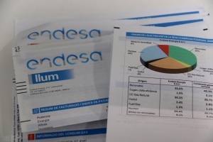 Les factures d'Endesa acumulen alguns retard en prop de 82.000 clients | ACN