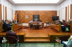 Ple municipal