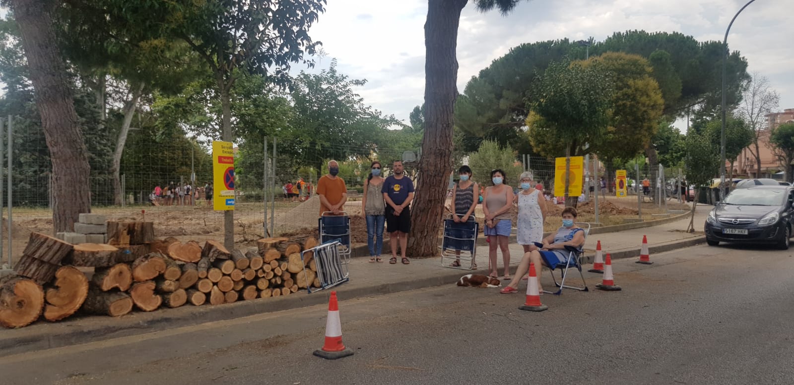 Un grup de veïns de Nostra Llar es mobilitza per defensar un pi centenari | Raquel García 