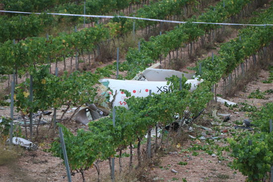 L'aeronau s'ha estavellat a una zona de vinyes a la localitat de Bonastre | ACN