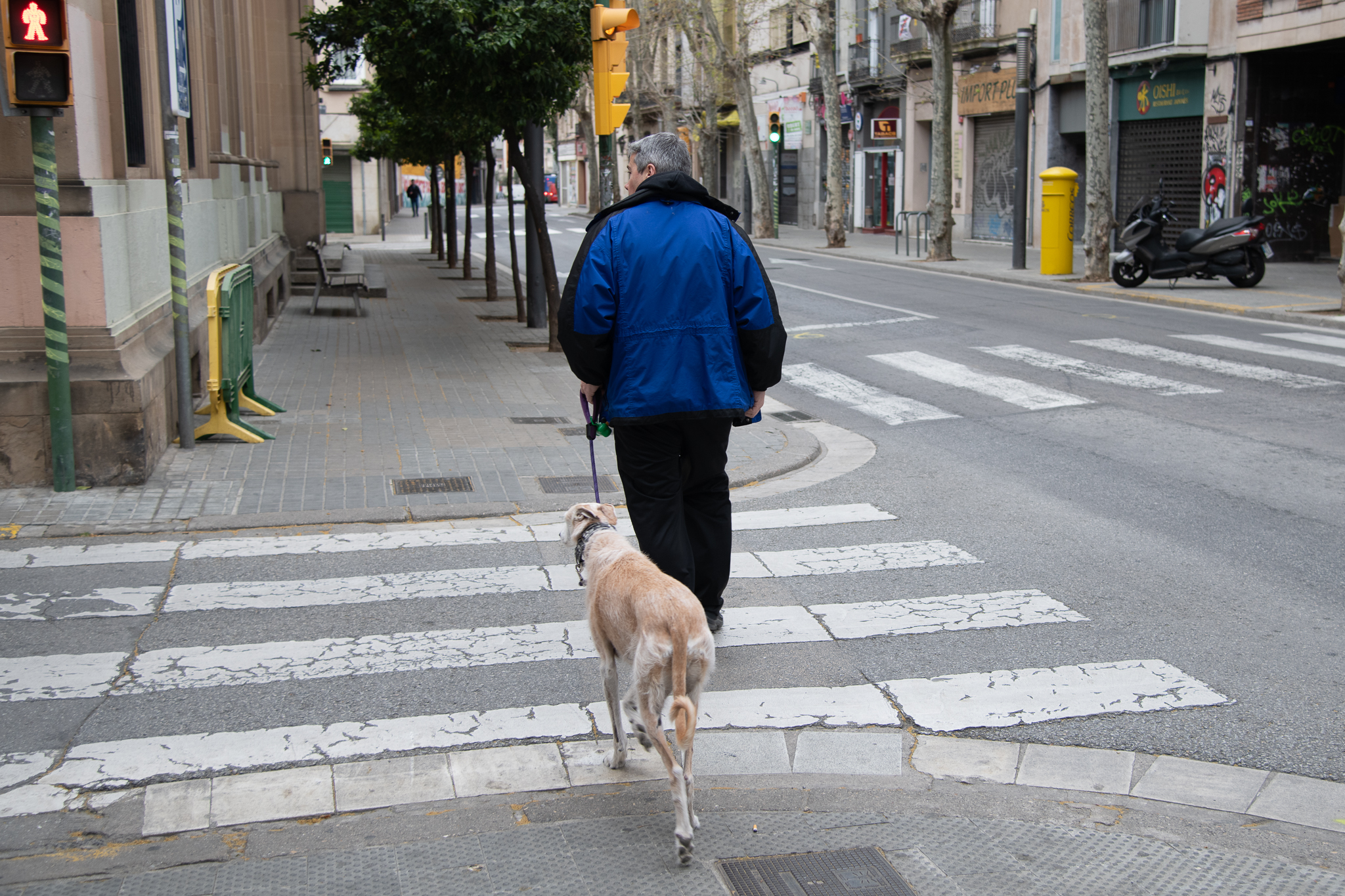 Tal com s'ha ordenat des del govern espanyol poques persones caminant al carrer perpassejar el gos o anar a buscar aliments | Roger Benet