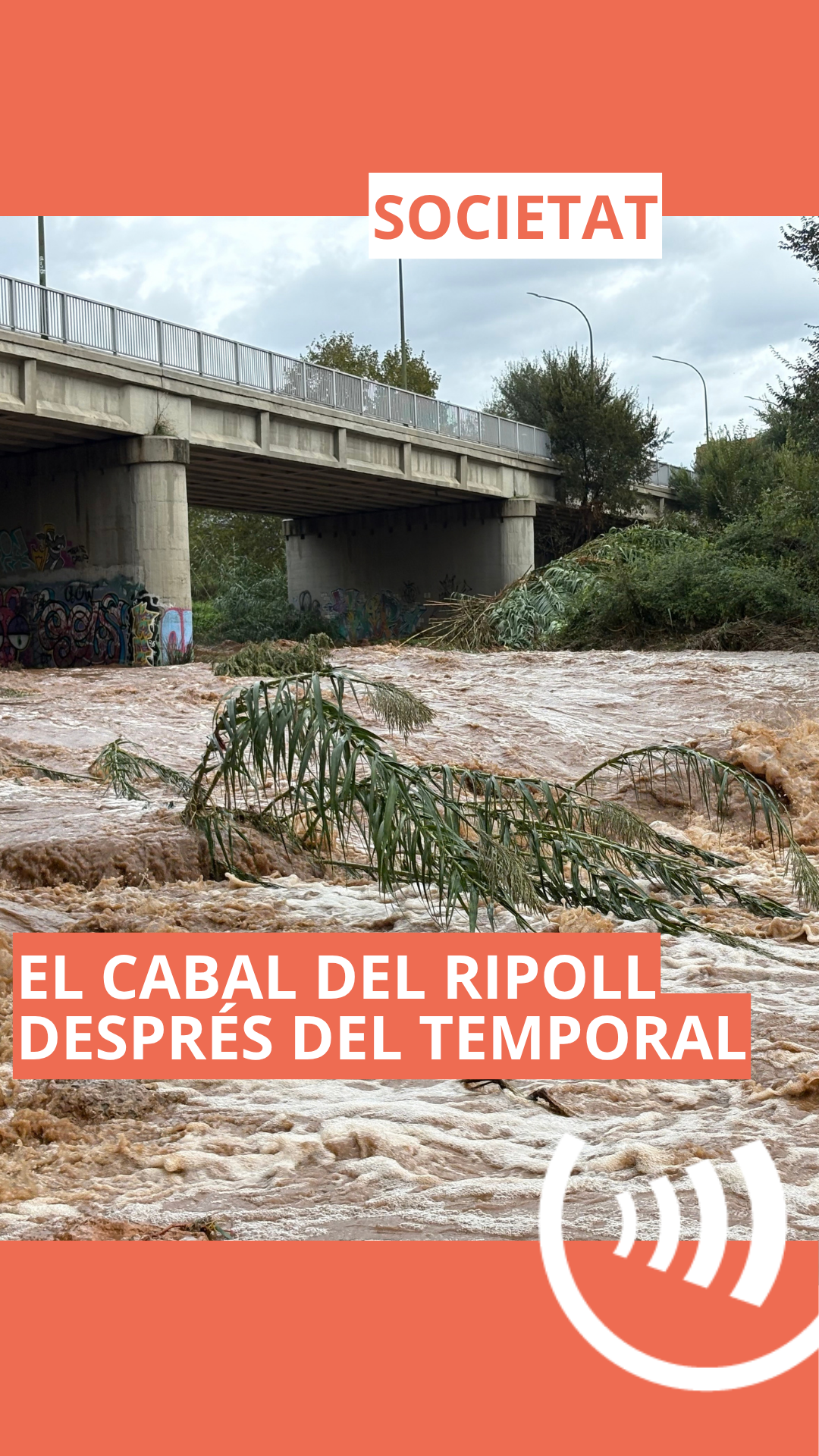 ripoll