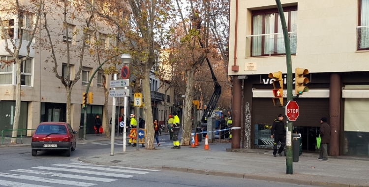 Comença la poda de gairebé 600 plataners de l'eix central. Els primers treballs es fan a l'avinguda Onze de setembre - © Núria García