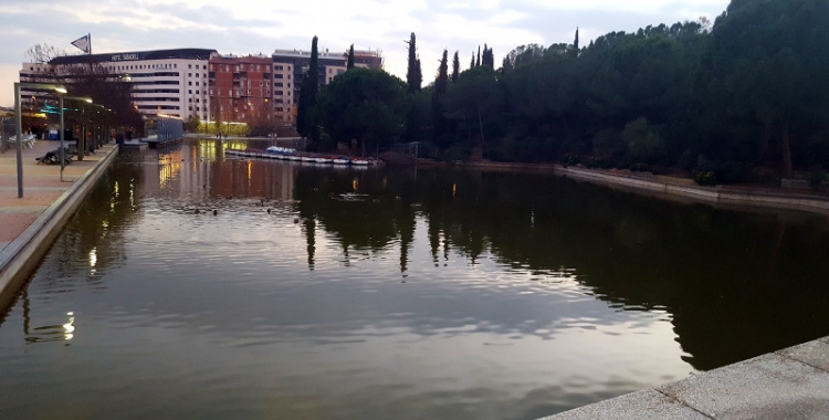 Fotografia del llac del Parc Catalunya (Sabadell) - © Núria García