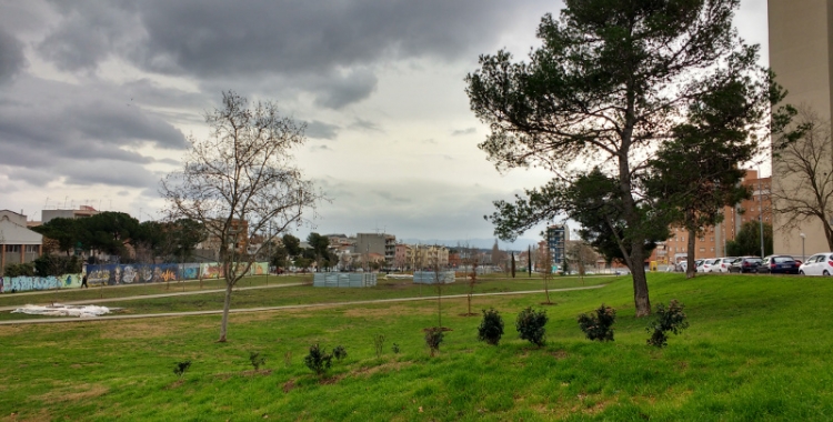 La plantació d'arbres al Parc del Nord va començar al gener