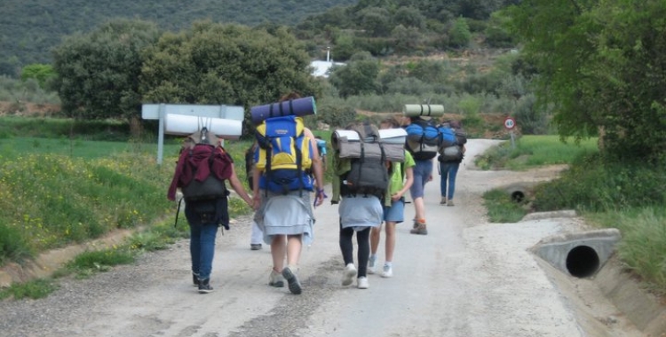 Imatge d'una de les colònies de La Baldufa