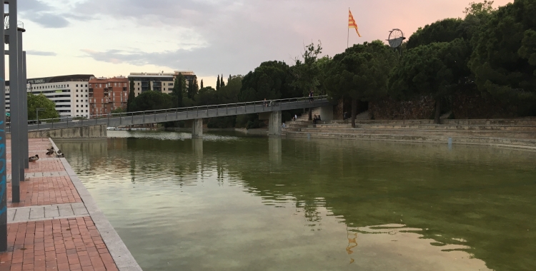 El Llac del Parc Catalunya la setmana passada | Mireia Sans
