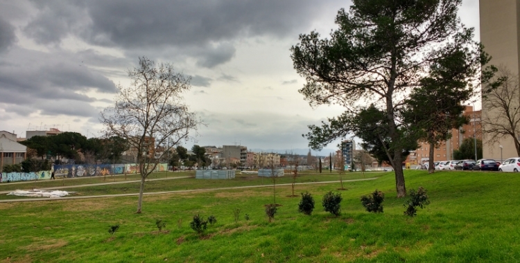 El Parc del Nord a l'inici de les plantacions 