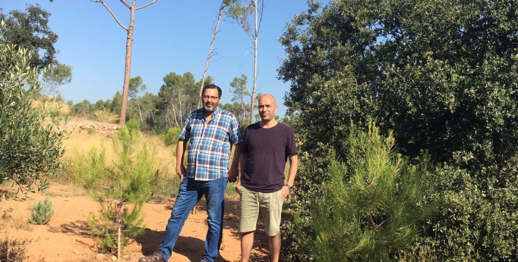 L'alcalde accidental, Joan Berlanga, i el gestor de l'Espai Natura, Hilari Teixidó, al bosc de Can Deu | Mireia Sans