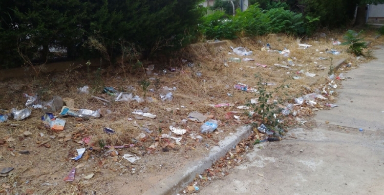 La brutícia era evident en alguns punts del barri 