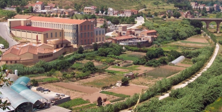 Horta Major del riu Ripoll. Foto: Ajuntament de Sabadell.