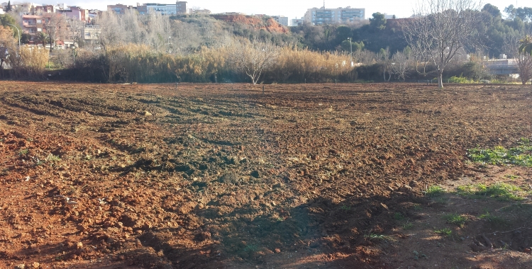 Terrenys de l'Horta d'en Romau | Pau Duran