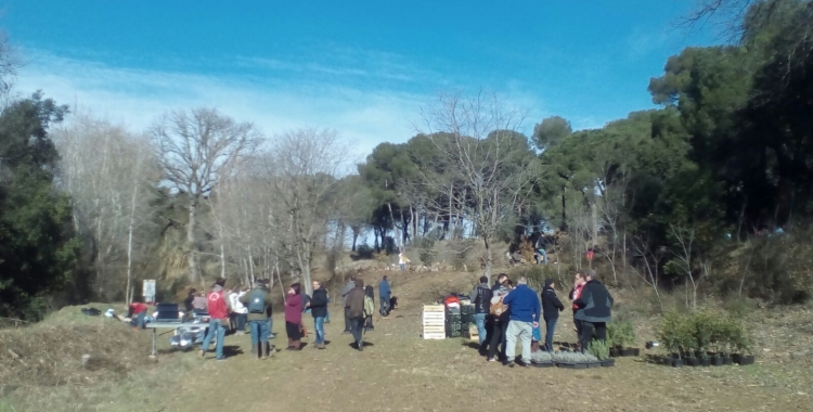 10a Festa del Parc Agrari de Sabadell | Pere Gallifa