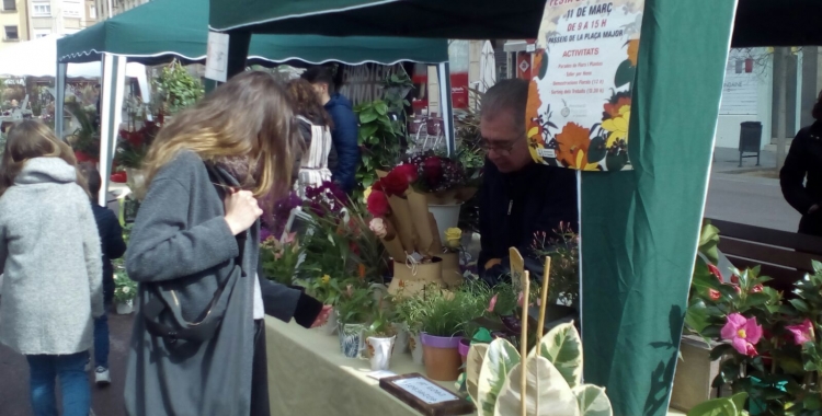 4a Fira de les Flors | Pere Gallifa