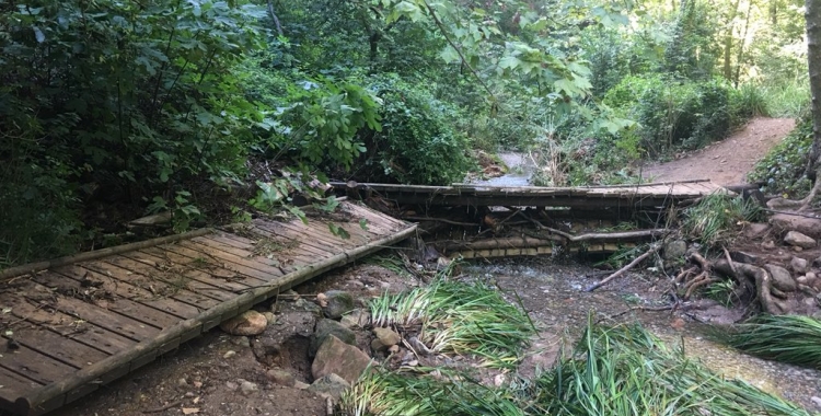 Passeres malmeses al Torrent de Colobrers | Toni Font