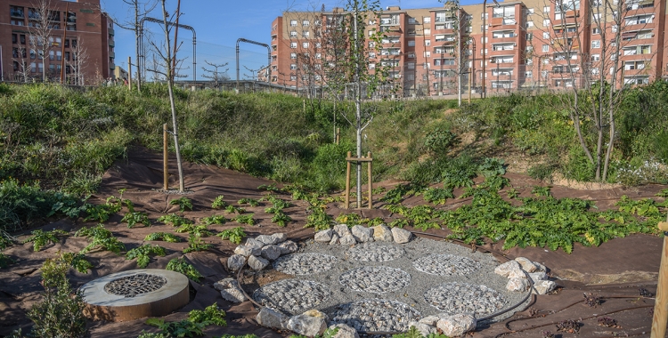 Les noves zones verdes de la plaça d'Espanya | Roger Benet