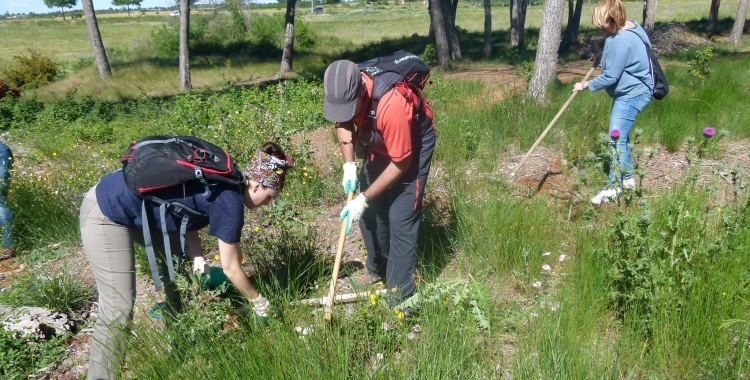 Les jornades fetes fins ara han comptat amb un total de 2.400 participants/ Cedida Espai Natura