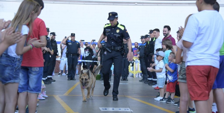 En Ringo, el pastor alemany que es jubila del cos de Policia de Sabadell | Roger Benet