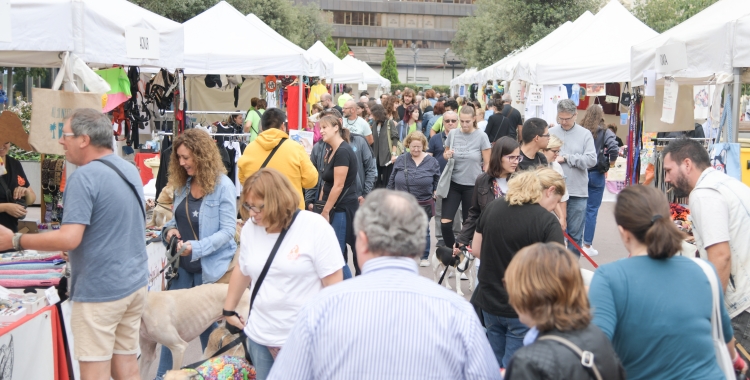 Les entitats han ocupat de punta a punta el passeig de la Plaça Major | Roger Benet