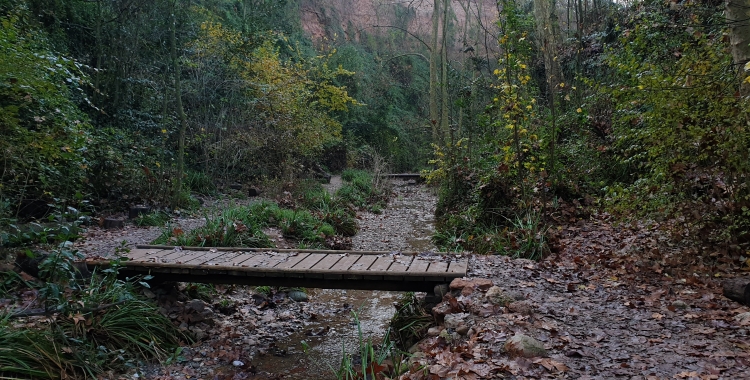 Imatge del torrent de Colobrers, on passarà al Ronda Vallesana/ UES