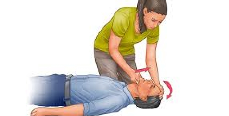 Dia de la Conscienciació Aturada Cardio respiratòria 