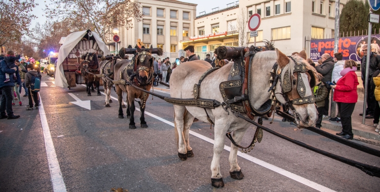 Una vuitantena de carruatges han envaït els carrers de Sabadell en la Passada de Sant Antoni | Roger Benet