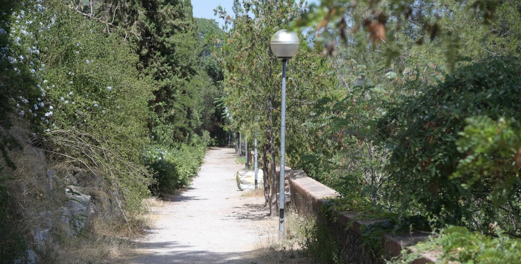 El govern local protegirà els bancs, el mur i els jardins del passeig de la Revolució | Roger Benet