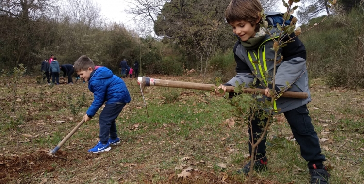 En Jan i en Martí plantant un arbre | Helena Molist