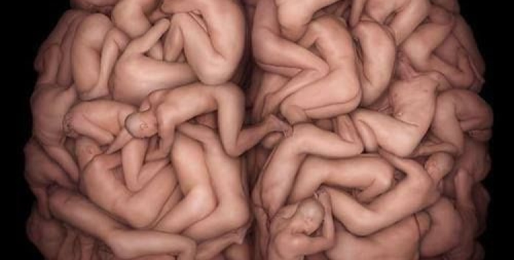 Parlem de sexe? Laura Clotet, sexòloga: "No oblidem que el cervell és l'òrgan sexual més potent"