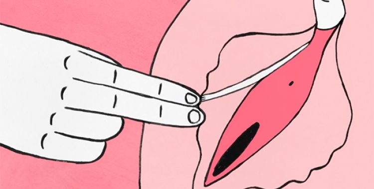 Imatge de ‘Le clitoris’, un curt de divulgació sobre l'òrgan del plaer femení YouTube: ‘Le clitoris’