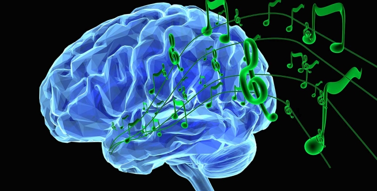 Quins són els benefics de la música? Com millora el seu rendiment escolar?