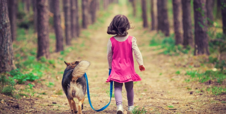 Com sabem si a casa estem preparats per rebre una mascota? Què hem de tenir en compte abans d'acceptar el repte?