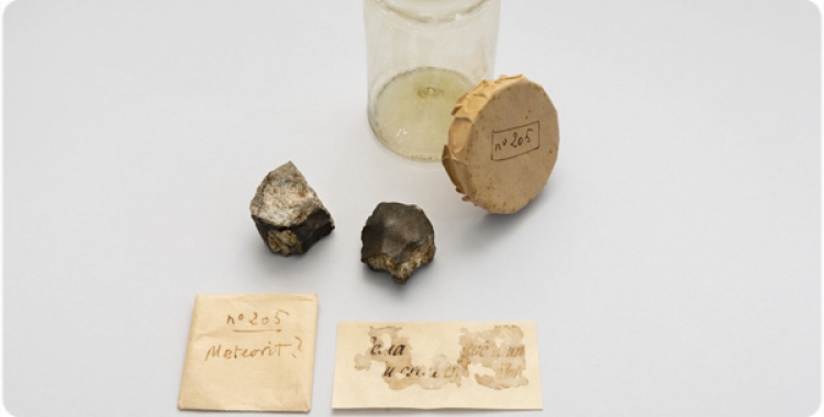 Els fragments del meteorit es podran veure a l'Institut Botànic de Barcelona | Cedida