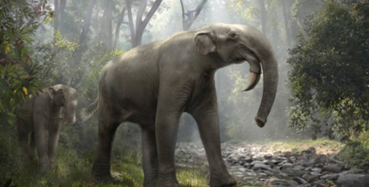 El dinoteri, ja extingit, és un animal emparentat amb els elefants africans