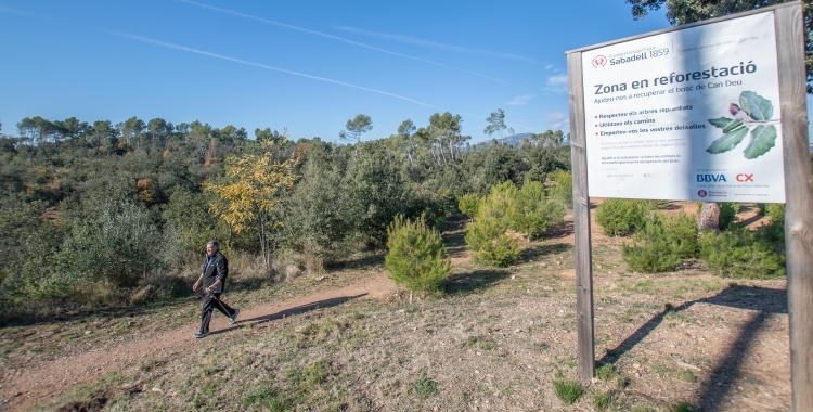 El bosc de Can Deu podria quedar inclòs dins del Parc Natural de Sant Llorenç | Roger Benet