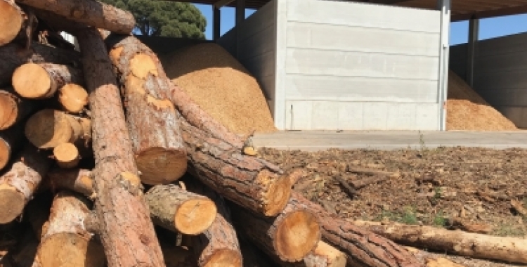  Viu el Vallès: La biomassa forestal com a energia renovable i  com a mesura per a poder prevenir incendis forestals  a la comarca 