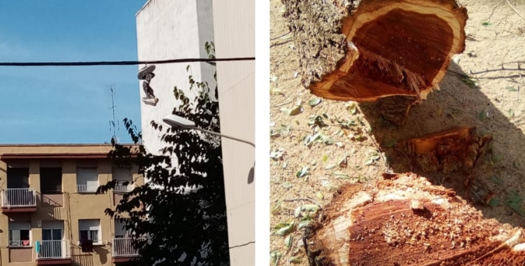 Els Nostres Barris: Els veïns de Les Termes aixequen la veu per reivindicar millores al barri 