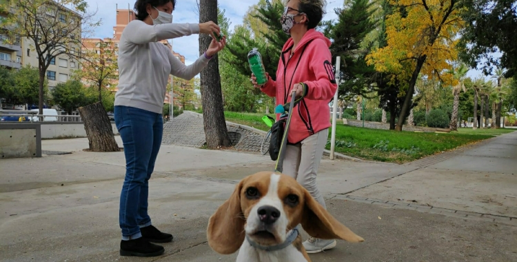 Per fomentar el cens, es regala un kit d'un paquet de bosses i una ampolla per esbandir els orins | Pau Duran