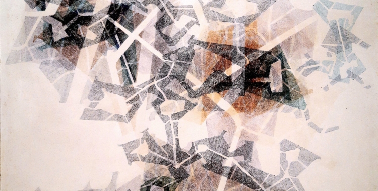 El cub blanc: Joan vilacasas, l'artista de les Planimetries Fundació 1859 Caixa Sabadell