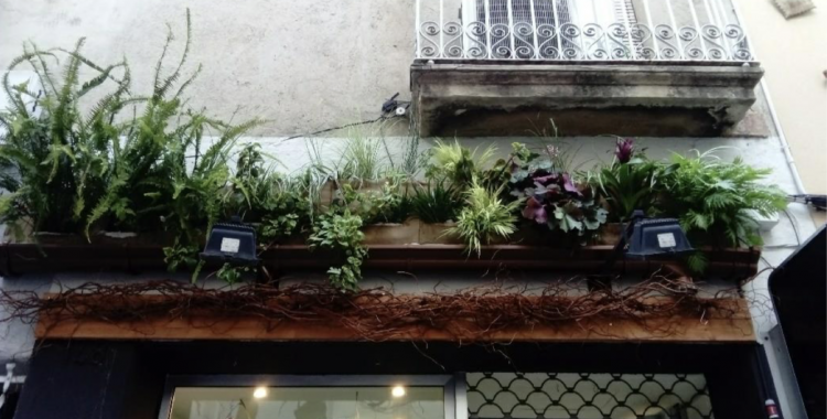 Una de les instal·lacions al carrer de Gràcia | Jardins Vegetals 