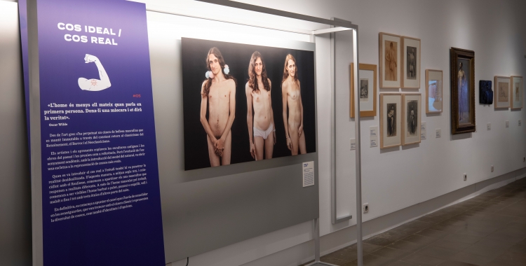 Una imatge de l'exposició "L'home nu" | Cedida
