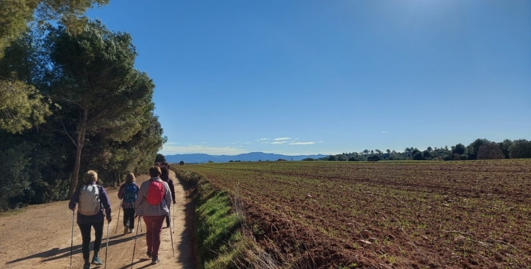 Més d'un centenar de persones participen en els diferents grups de marxa nòrdica de la UES 